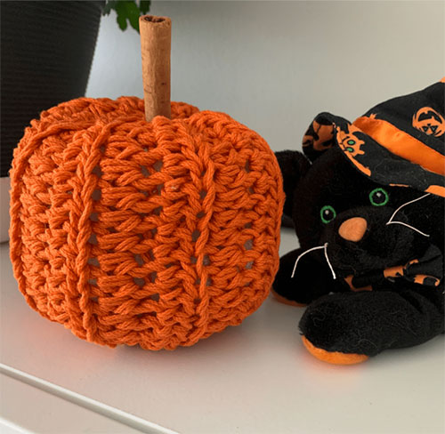 petite pumpkin phot of the pumpkin and a stuffed toy cat 
