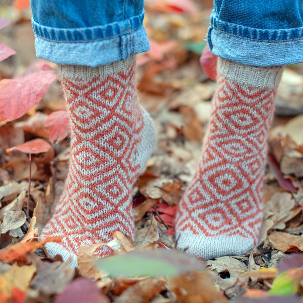 photo of learning to knitting one. Photo of colourwork socks with fall foliage in the background 